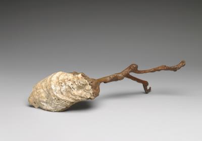 图片[2]-Seashell naturally embedded in tree root, Qing dynasty, Qianlong reign (1736-1795)-China Archive